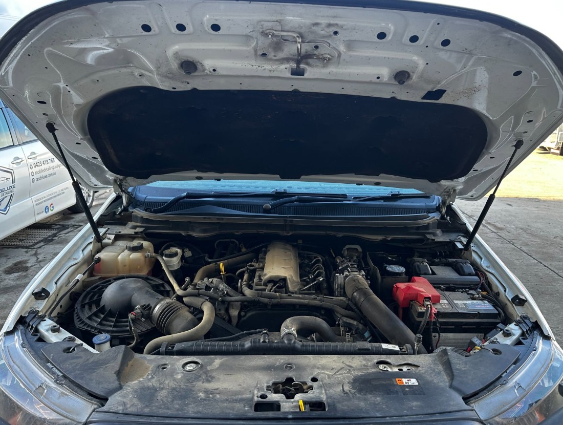 Before — Ute engine bay degreased and detailed