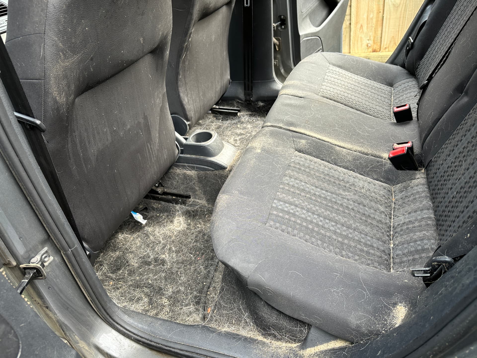 Before — Ford Focus rear seats and carpet before and after a pet hair removal and interior detail