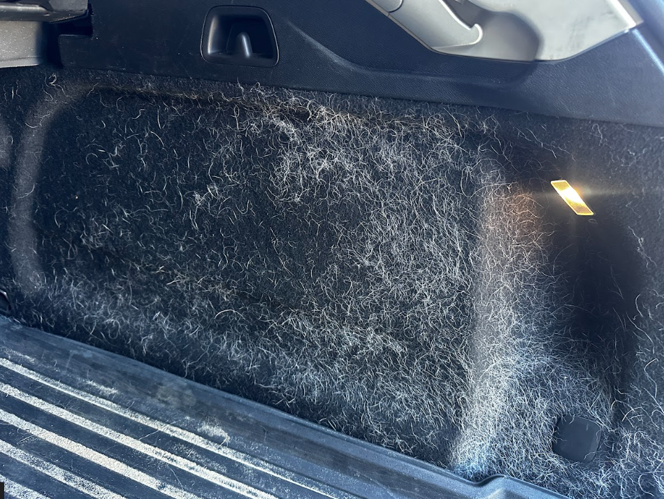Before — Vehicle boot before and after pet hair removal and deep cleaning