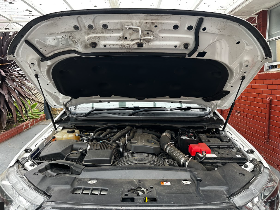 Before — White vehicle engine bay before and after professional cleaning and dressing